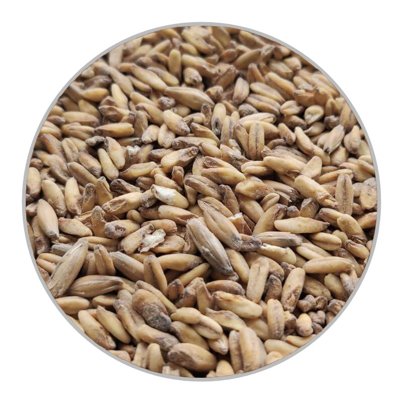 Пивоварний вівсяний солод Oat (Château) - 25кг